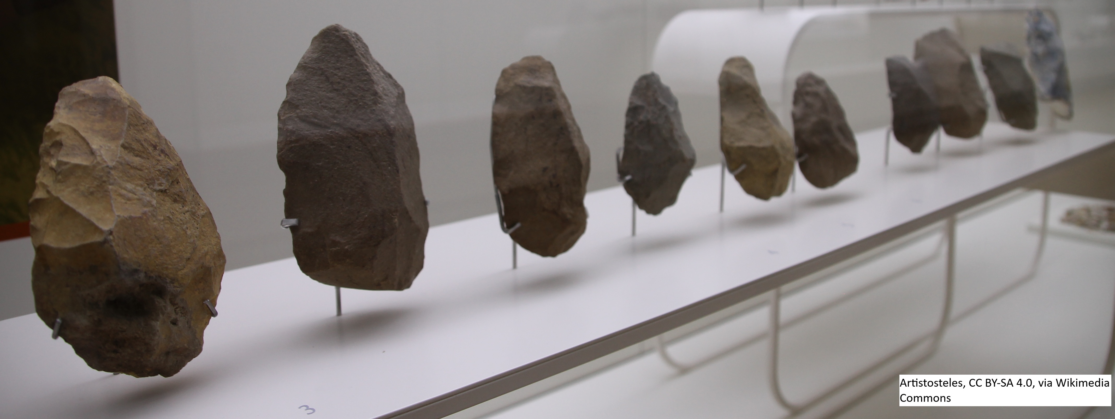 Prehistoric handaxes - Museo de la Rioja